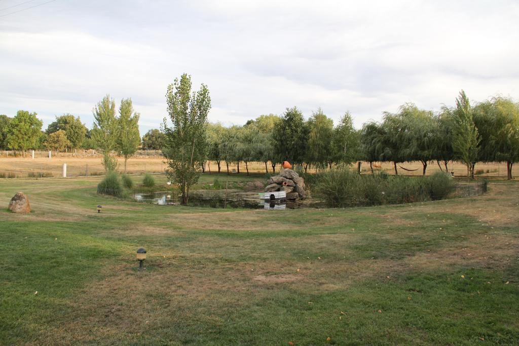 O Pelicano Panzió Alfaiates Kültér fotó